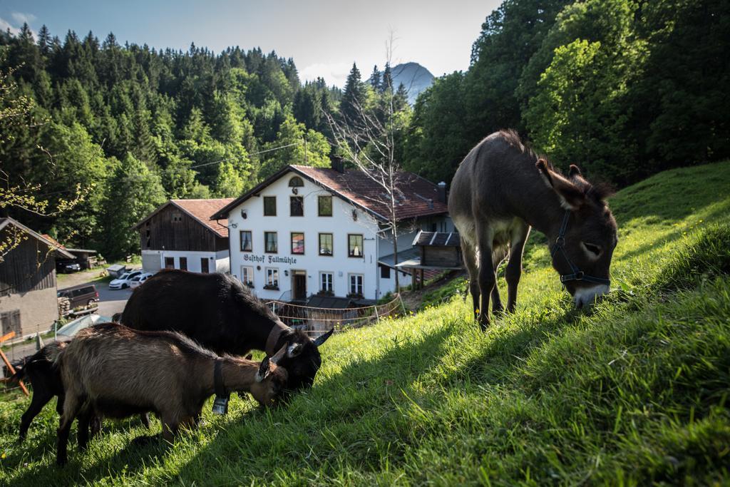 Gasthof Fallmuehle Pfronten Buitenkant foto