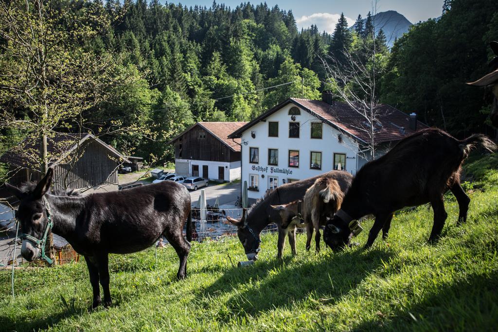 Gasthof Fallmuehle Pfronten Buitenkant foto