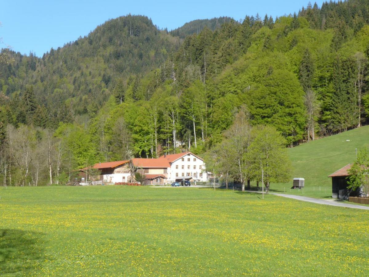 Gasthof Fallmuehle Pfronten Buitenkant foto